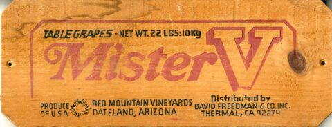 Mister V